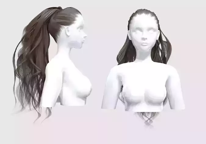 Ponytail Long Hair 