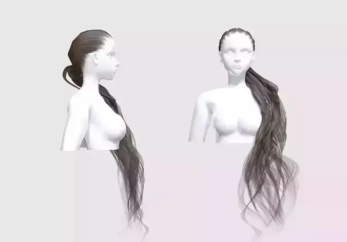 Ponytail Female Hairstyle 