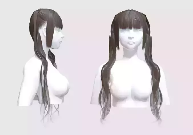 Pigtails Thin Hairstyle 