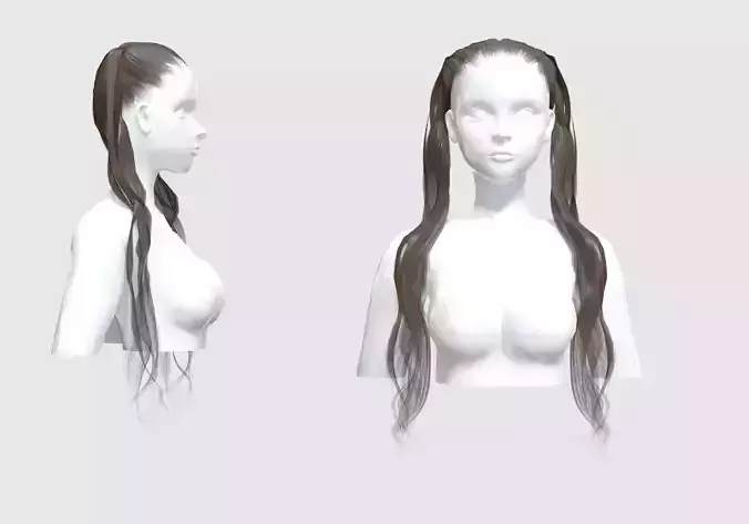 Pigtails Thin Hair 