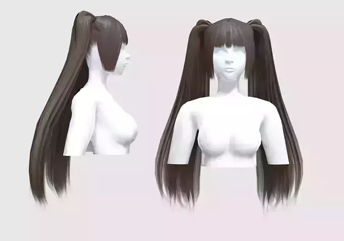 Pigtails Straight Hairstyle 