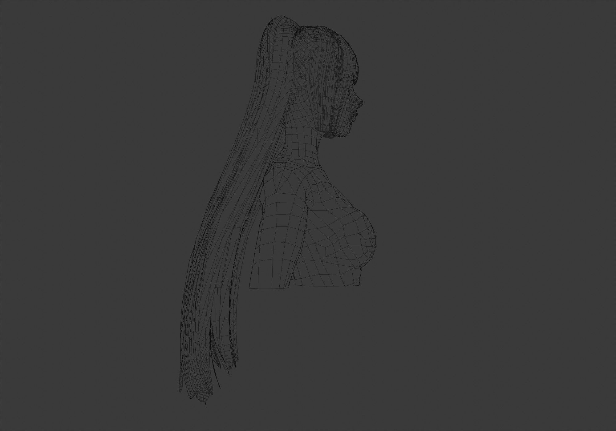 Pigtails Long Hairstyle 3D model_7