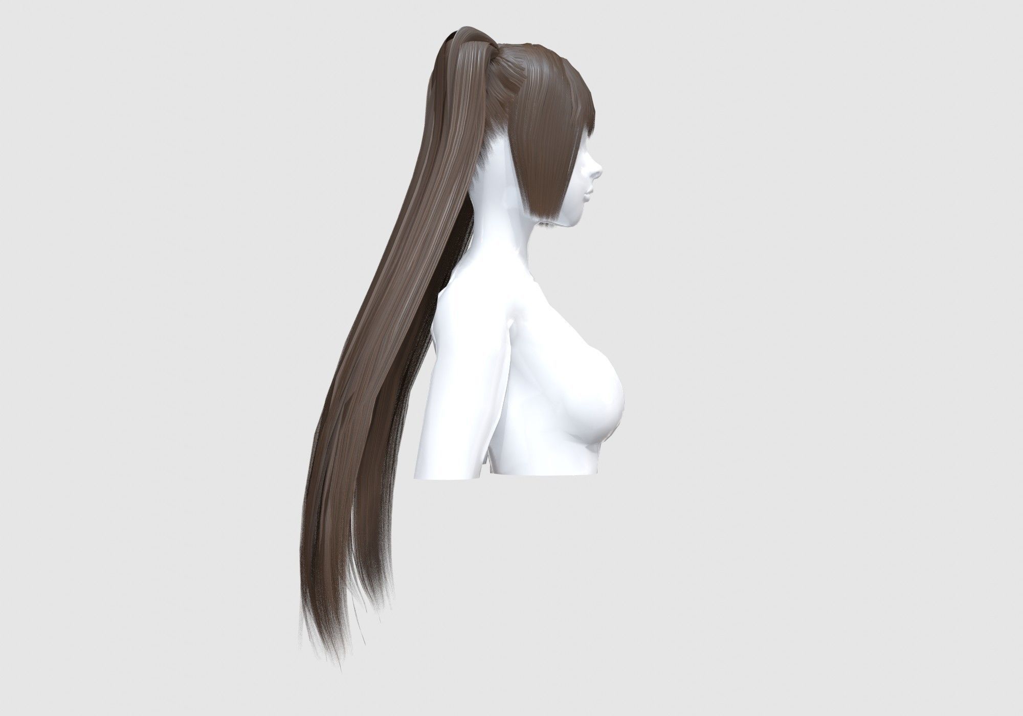 Pigtails Long Hairstyle 3D model_2