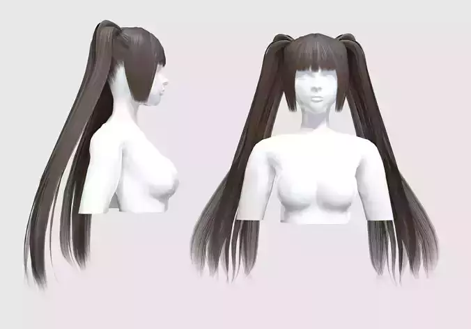 Pigtails Long Hairstyle 