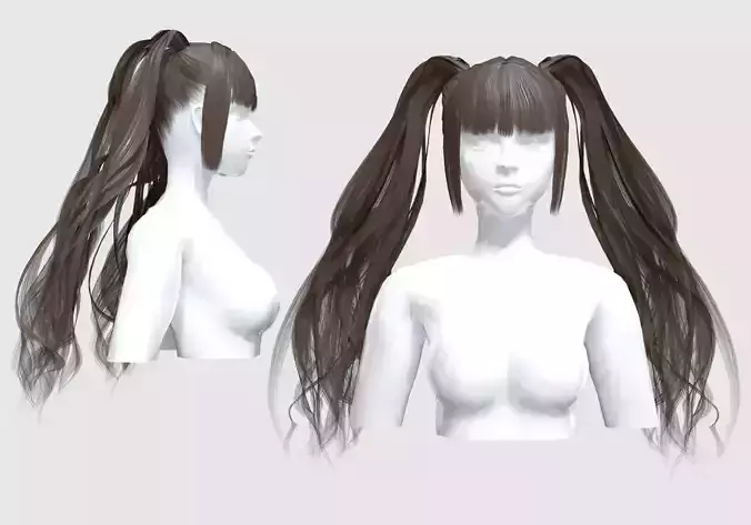 Pigtails Long Hair 