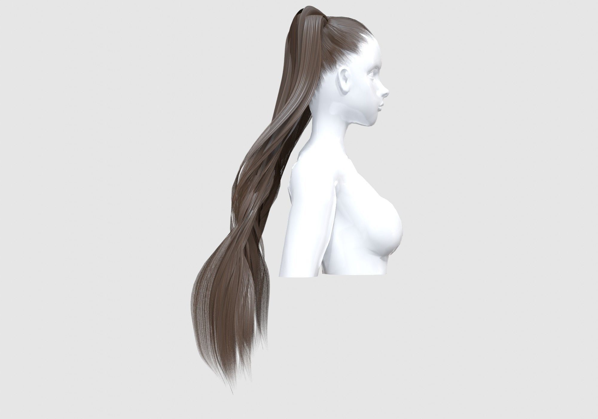 Pigtails Female Hairstyle 3D model_2