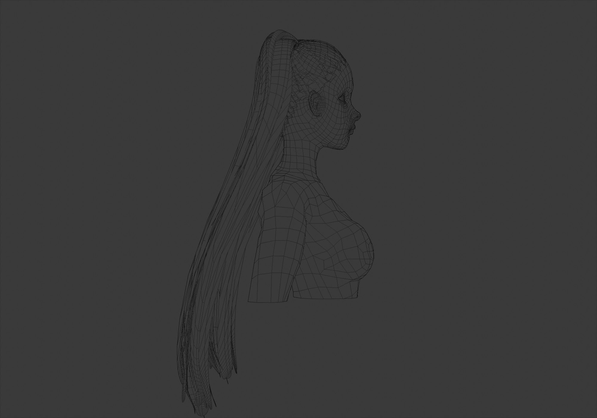 Pigtails Basic Hairstyle  3D model_7