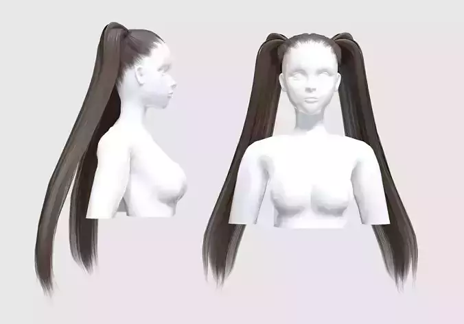 Pigtails Basic Hairstyle 