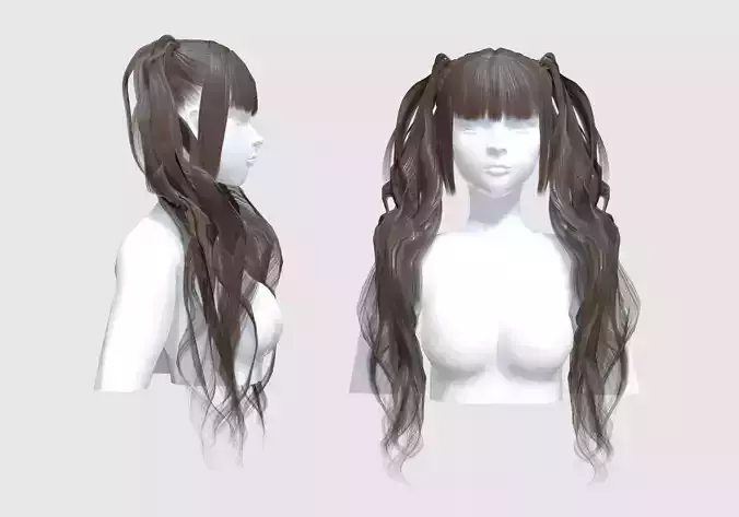 Pigtails Bangs Hairstyle 