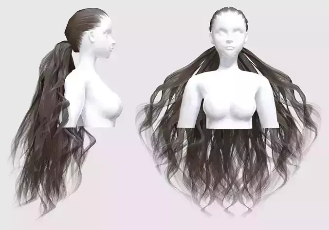 Pigtail Wavy Hairstyle 