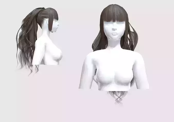 Pigtail Long Hair 
