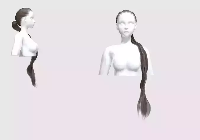 Pigtail Female Hairstyle 
