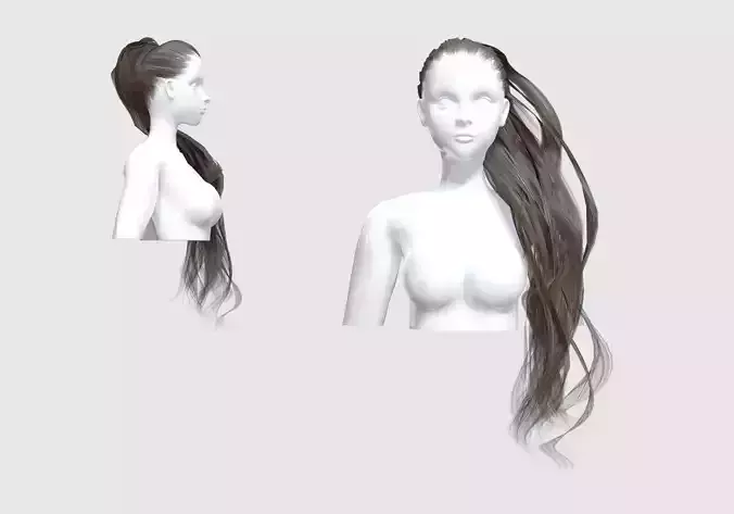 Pigtail Female Hair 3D model Pigtail Female Hair 3D model