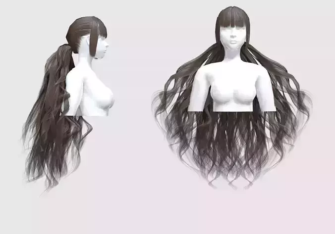 Long Ponytail Hairstyle 