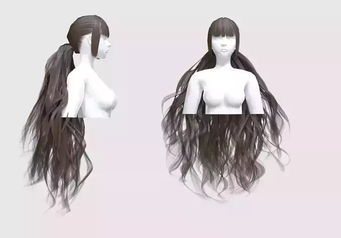 Long Pigtail Hairstyle 