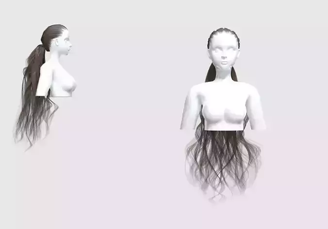 Long Curly Hairstyle 