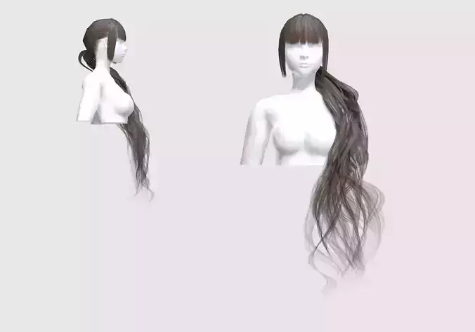 Female Ponytail Hairstyle 