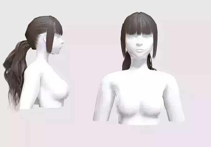 Female Ponytail Hair 