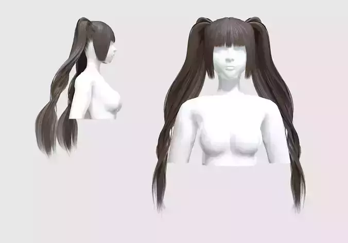 Female Pigtails Hairstyle 