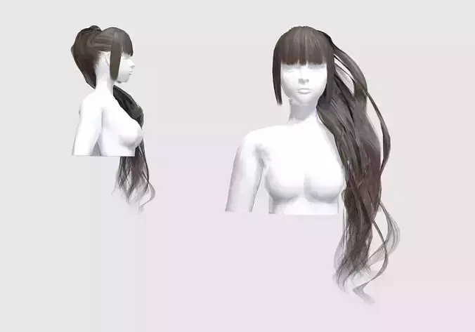 Female Pigtail Hair 