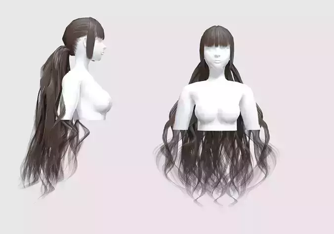 Female Basic Hairstyle 3D model Female Basic Hairstyle 3D model