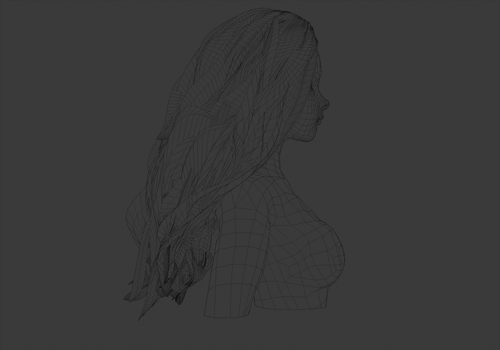 Female Basic Hair  3D model_7