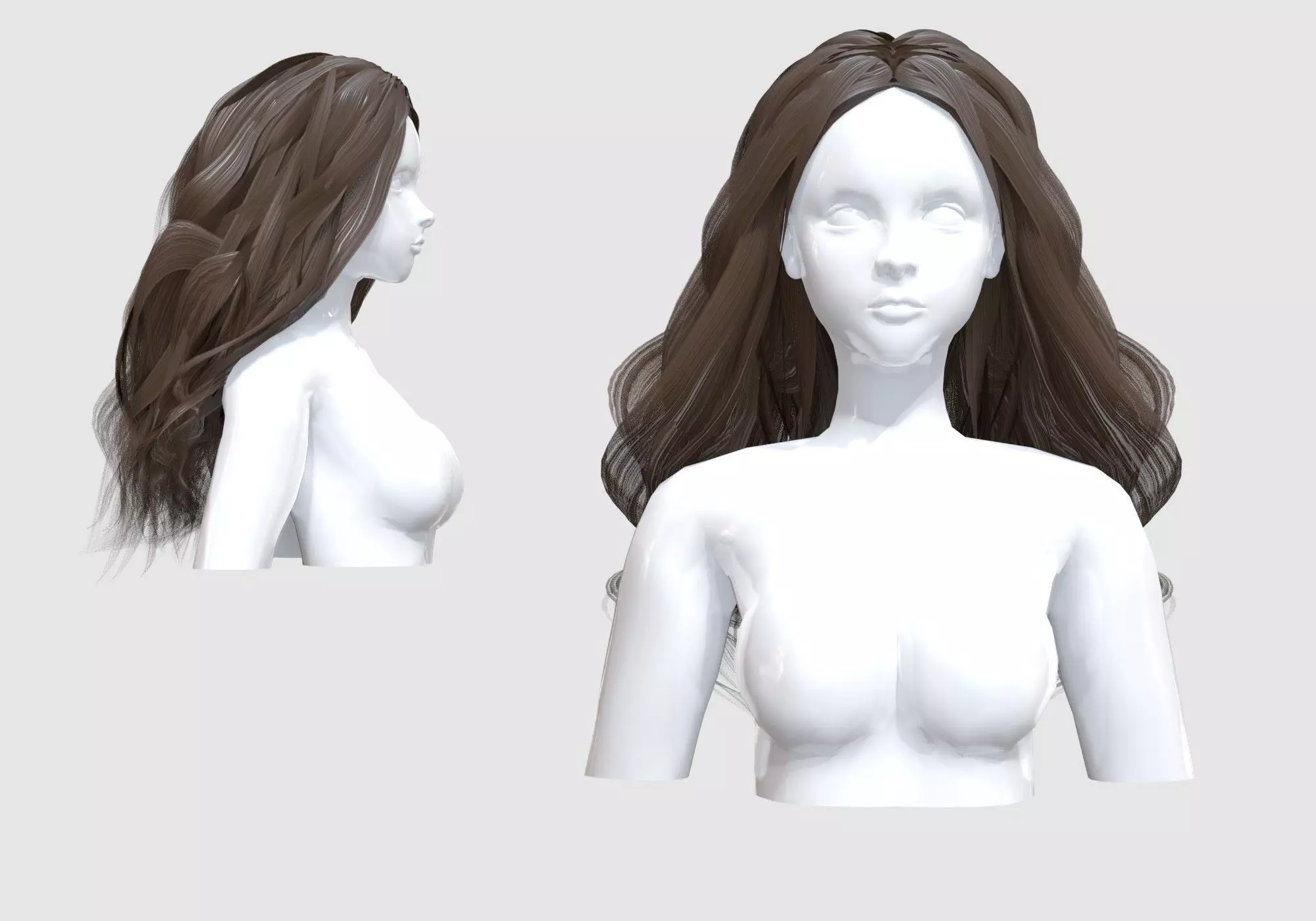 Female Basic Hair  3D model_0