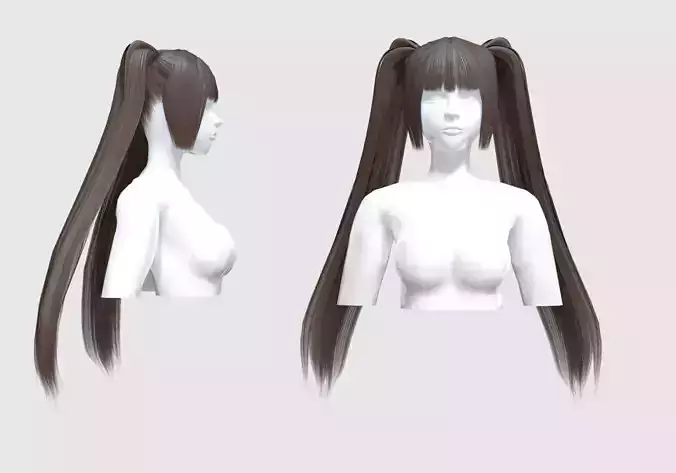 Basic Ponytails Hairstyle 