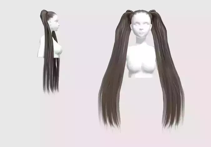 Basic Pigtails Hairstyle 