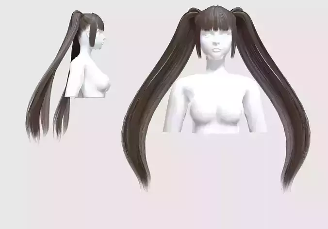 Bangs Ponytails Hairstyle 