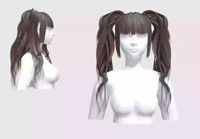 Bangs Ponytails Hair 