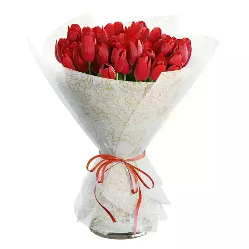 Flower Set 30 - Red Tulips Bouquet