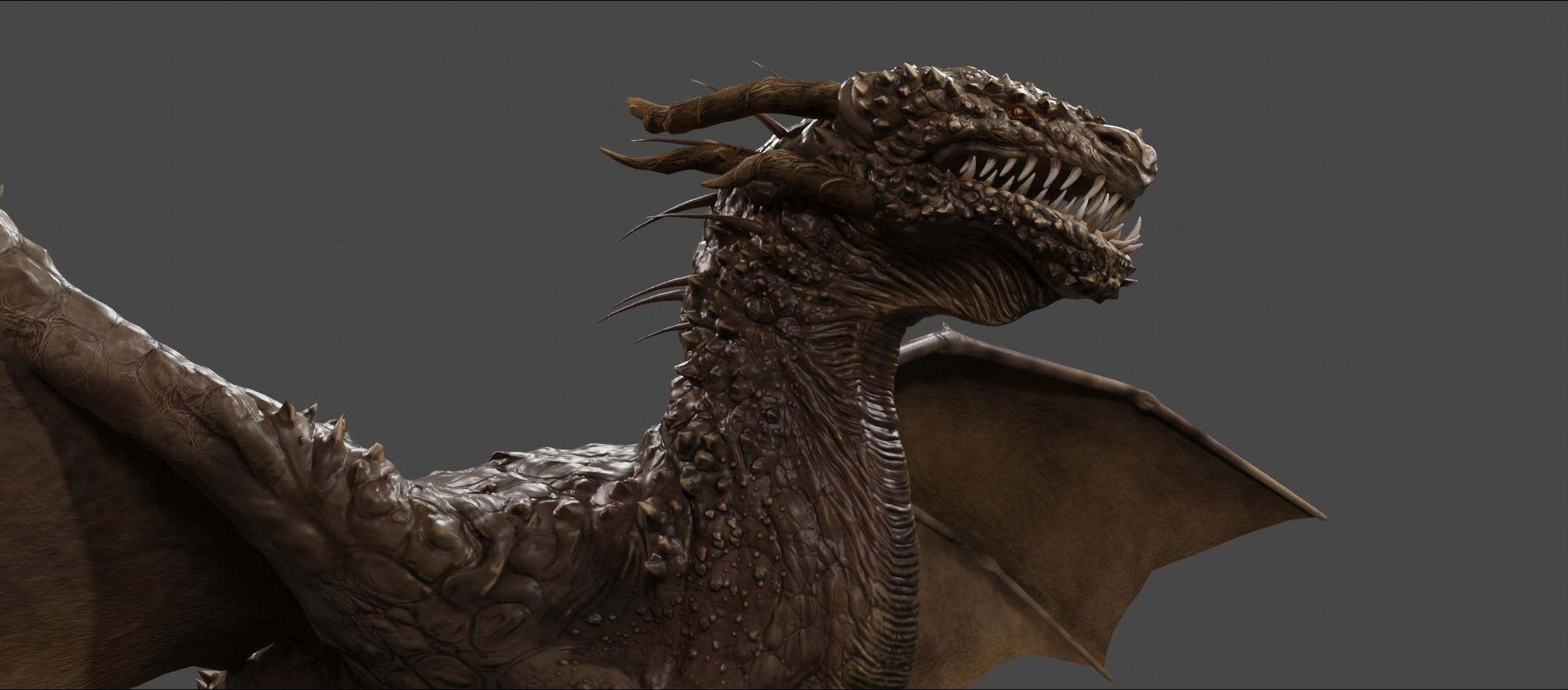 DRAGON BLENDER 1 Low-poly 3D model_3