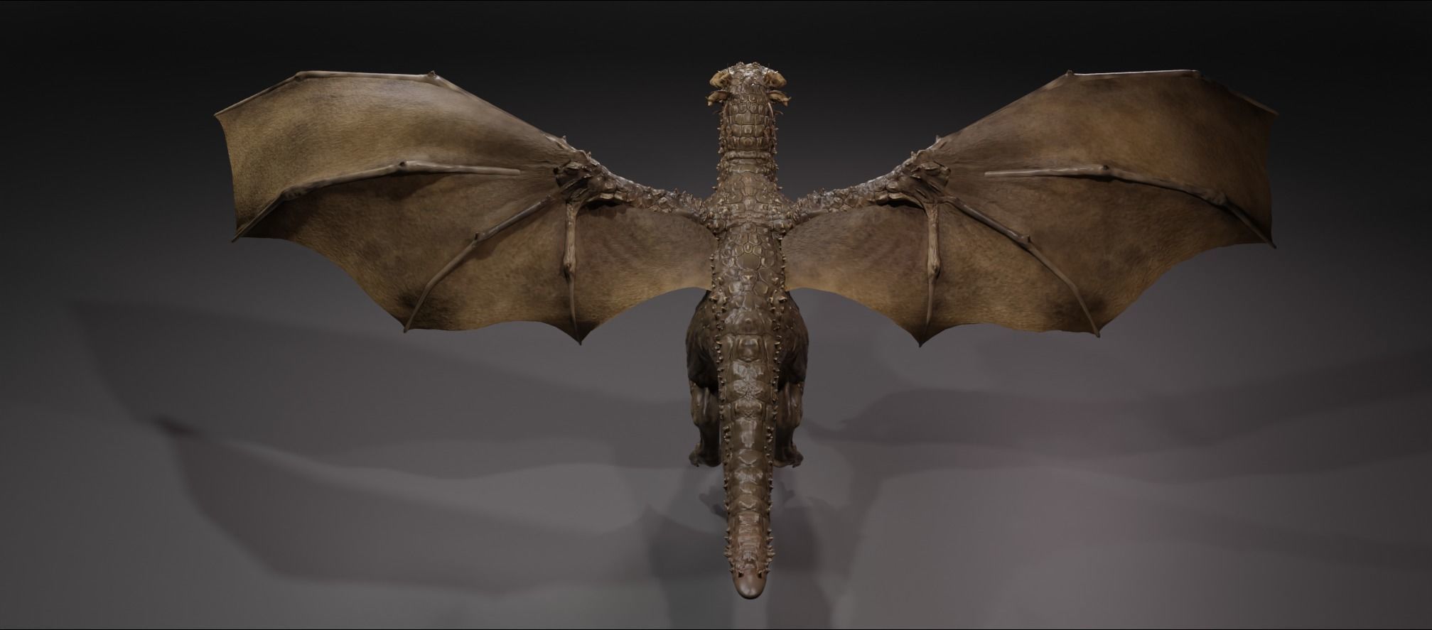 DRAGON BLENDER 1 Low-poly 3D model_6