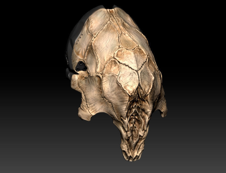 Feral Predator Mask prey 3D print model_3