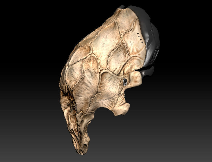Feral Predator Mask prey 3D print model_4