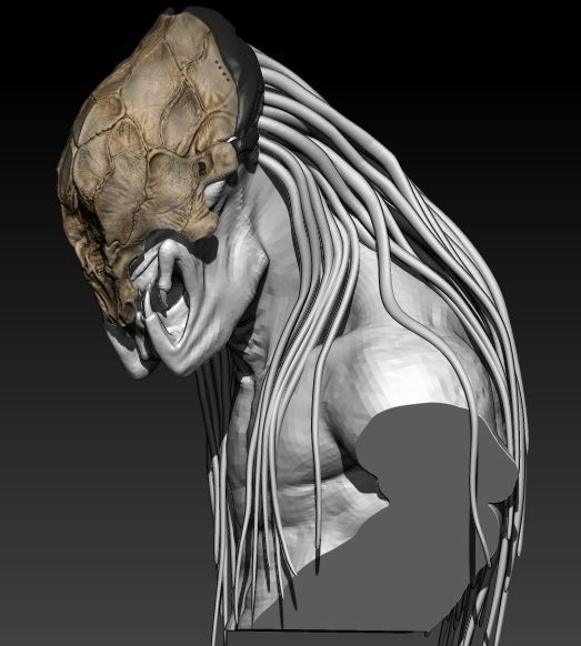Feral Predator Mask prey 3D print model_2