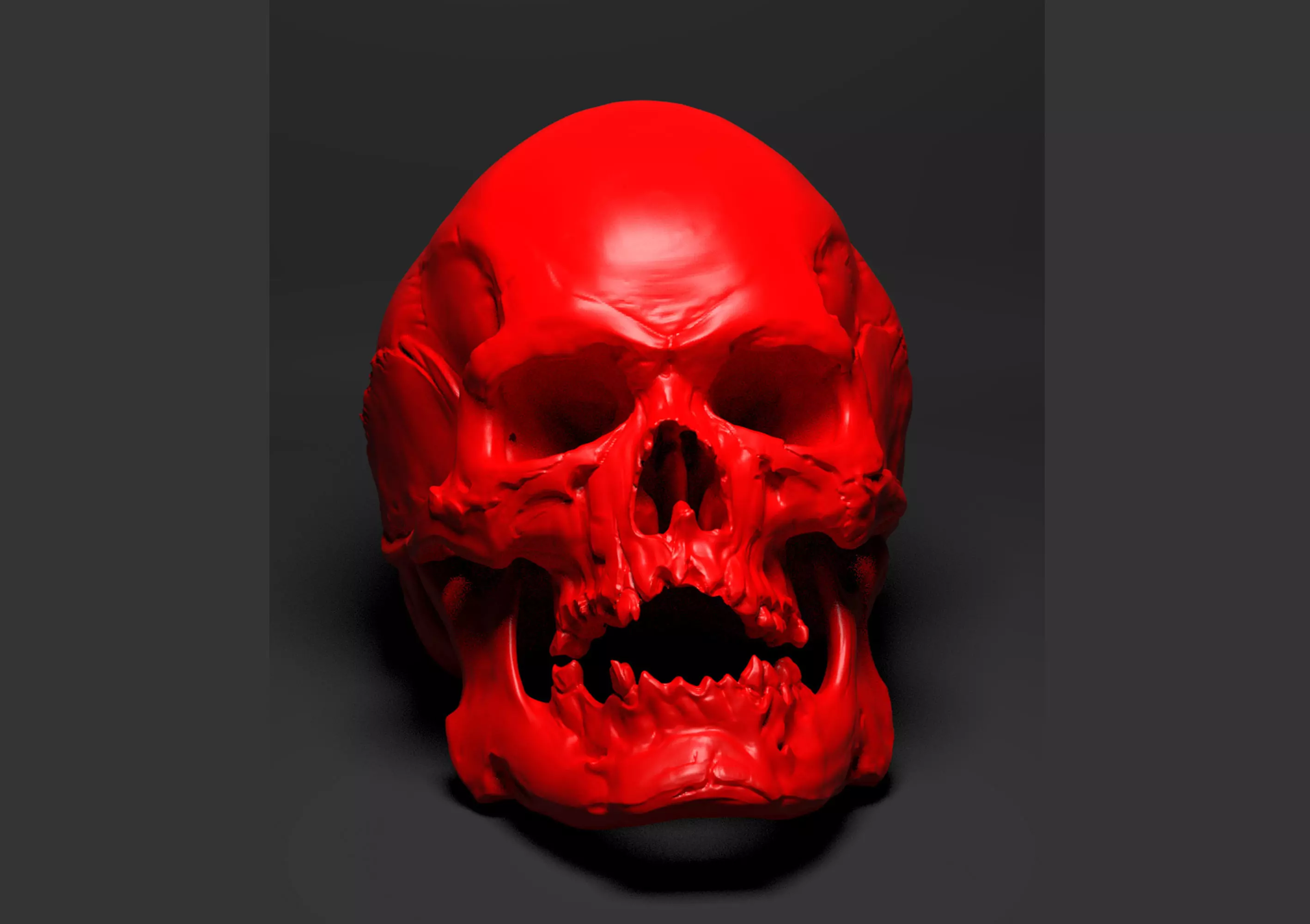 Skull 3D print model