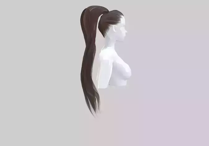 Wavy Pigtail Hairstyle 