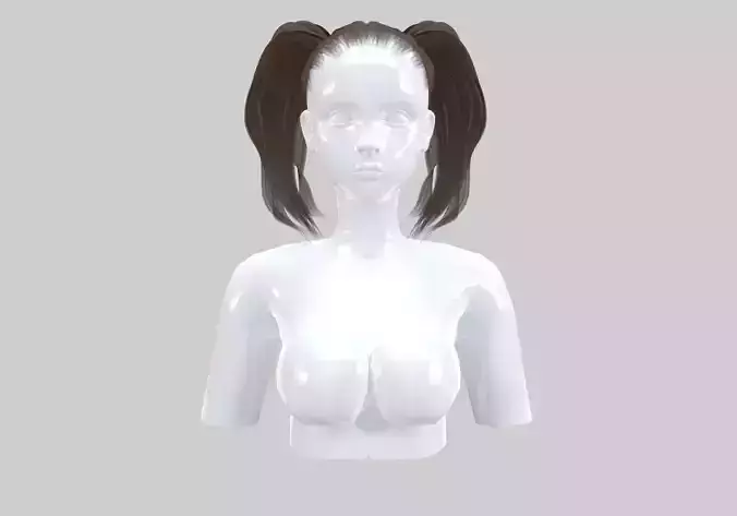 Two Ponytails Hairstyle 