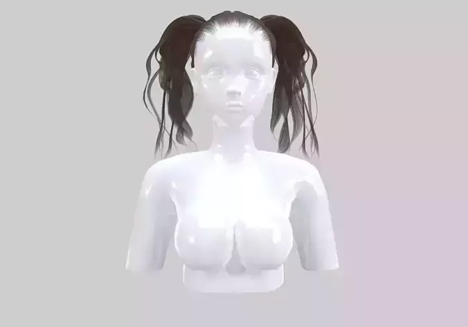Two Pigtails Hairstyle 