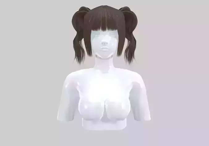 Short Pigtails Hairstyle 