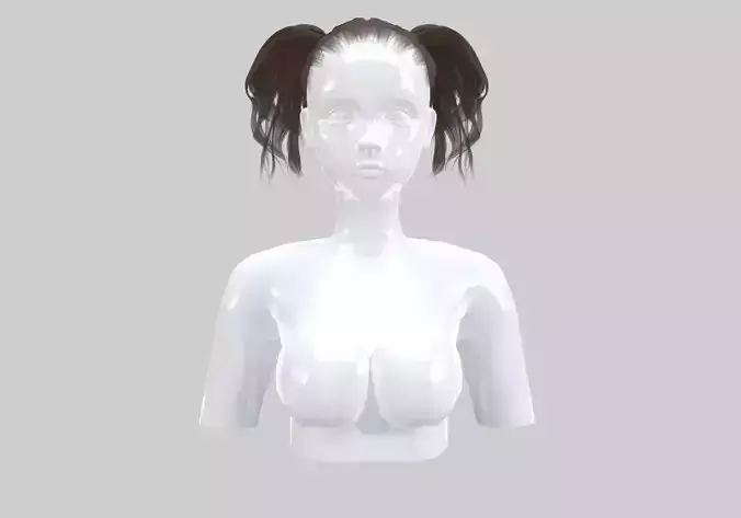 Ponytails Short Hairstyle 