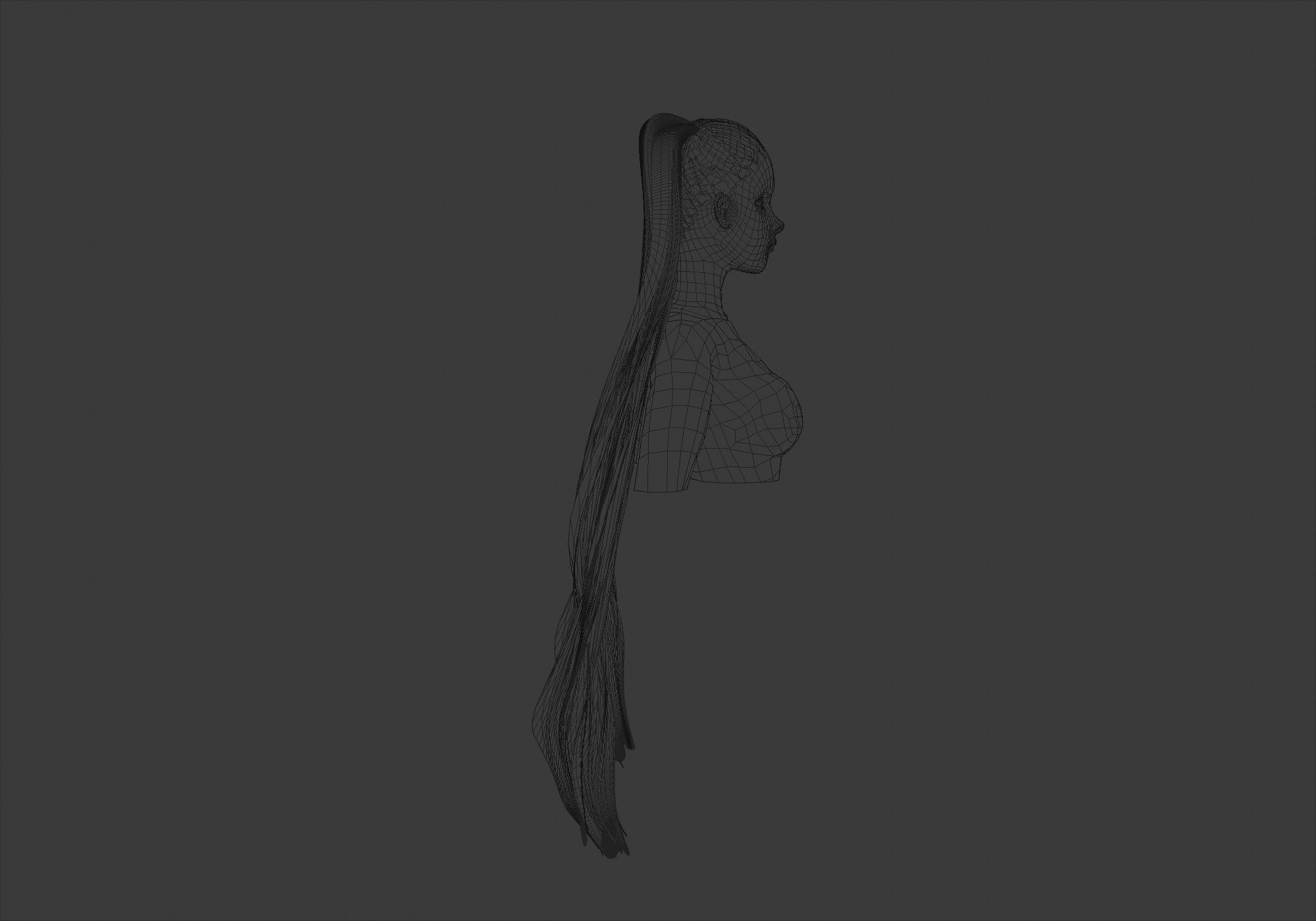 Ponytails Long Hairstyle 3D model_7