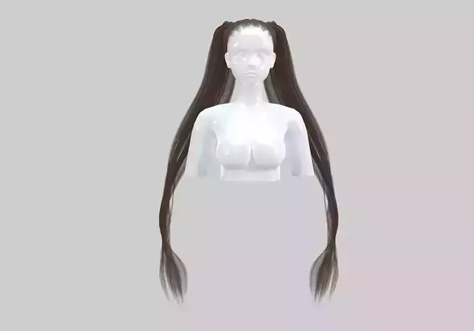 Ponytails Long Hairstyle 