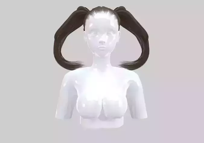 Ponytails Bow Hairstyle 