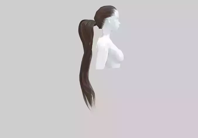 Ponytail Wavy Hairstyle 