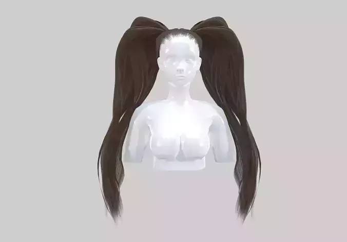 Pigtails Long Hairstyle 