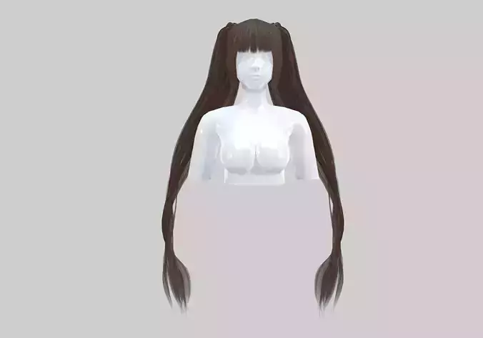 Long Ponytails Hairstyle 