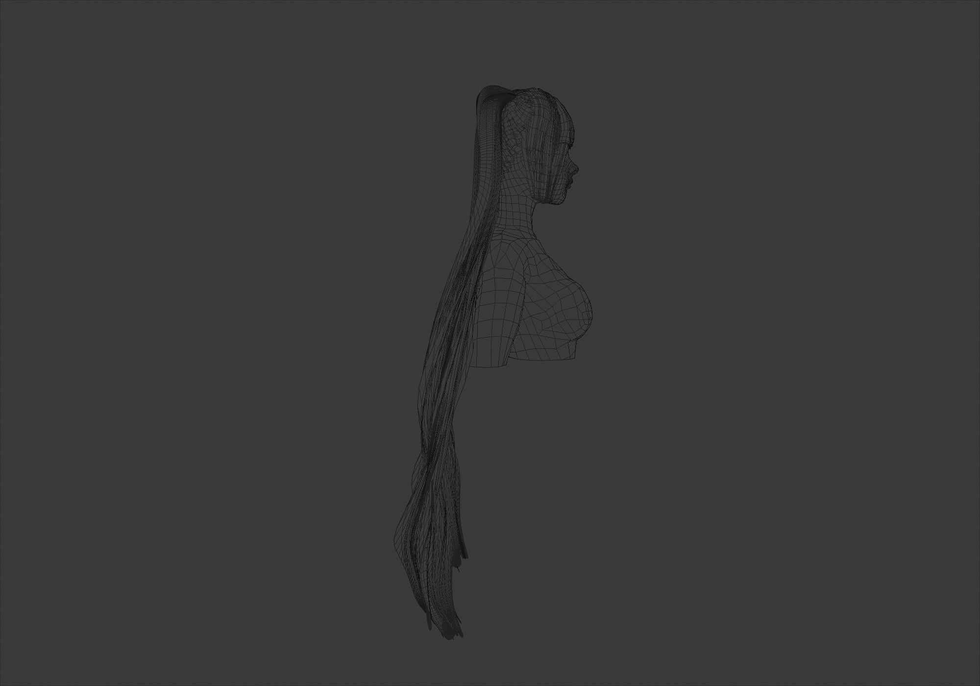 Long Ponytails Hairstyle 3D model_7